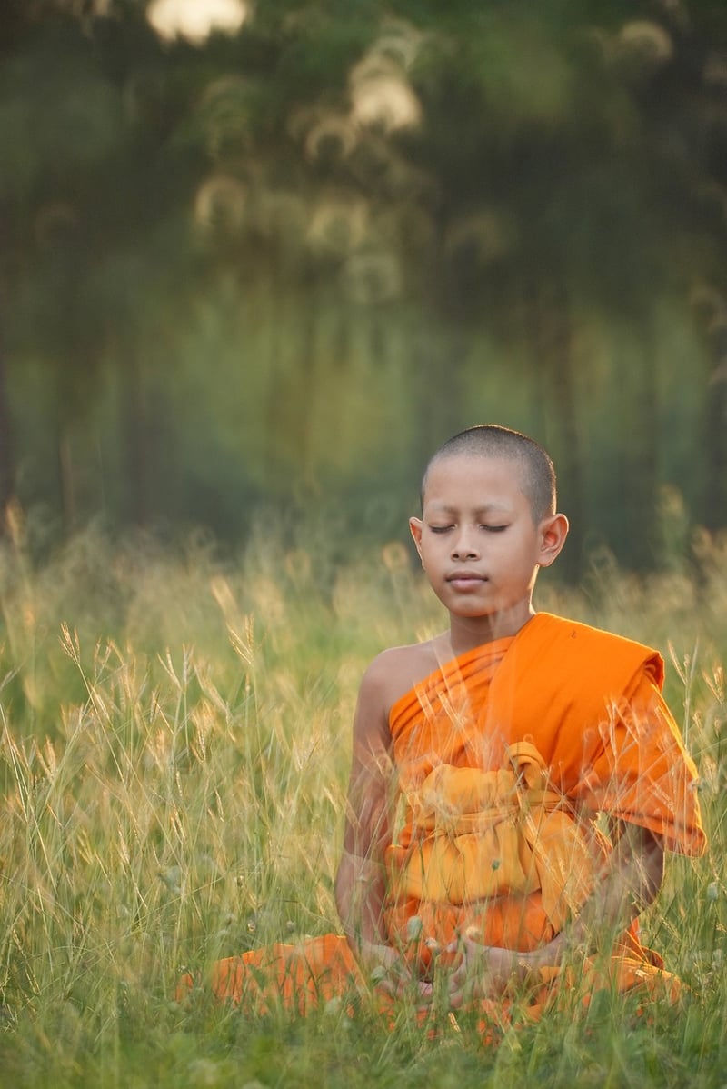 Hatha Yoga Meditation Pose